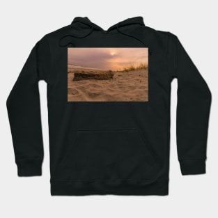 Wood of time Hoodie